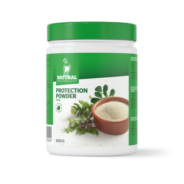 Protection Powder